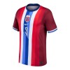 Maillot Foot Norvège Haaland 9 Domicile 2024